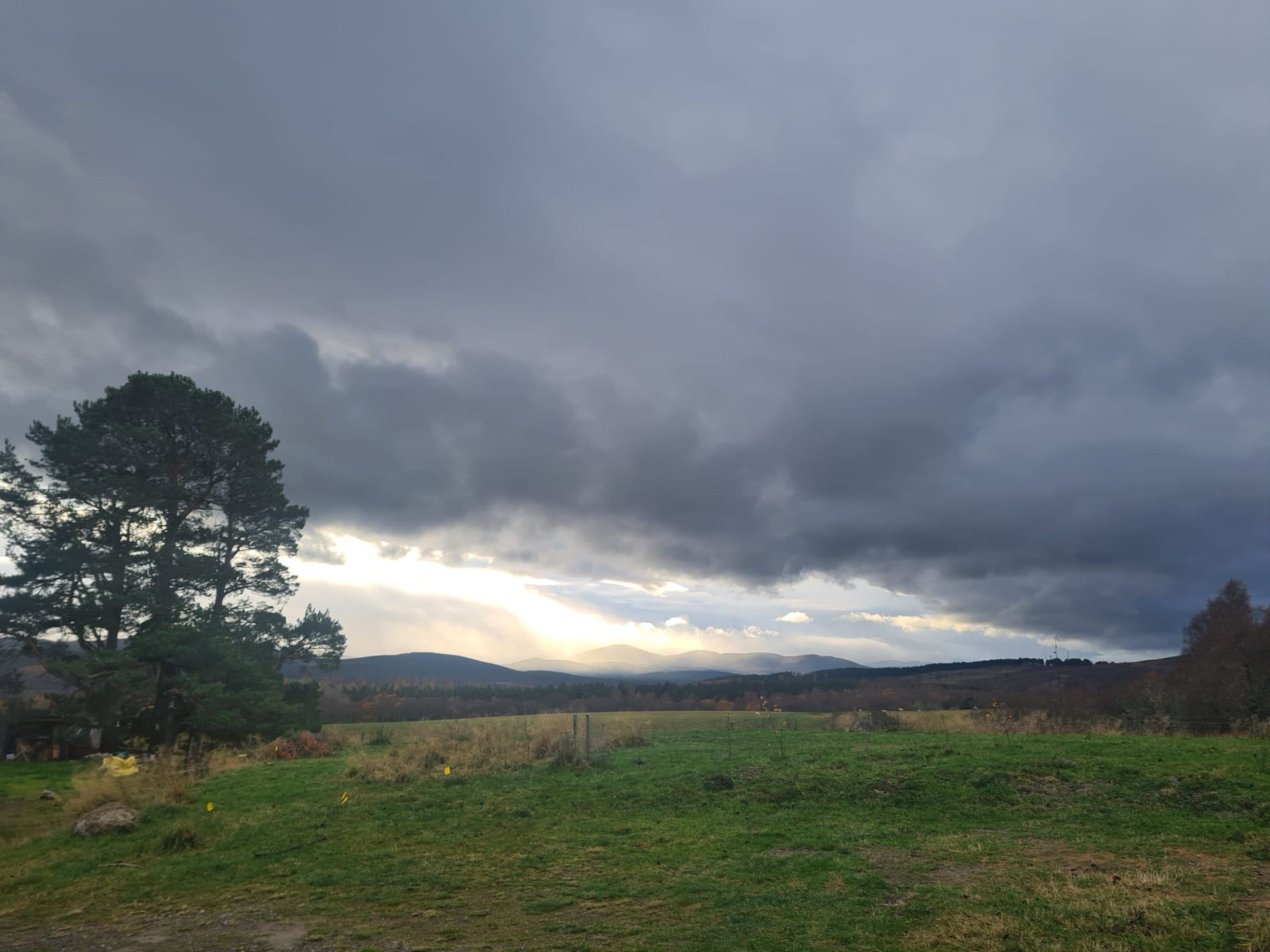 Landscape of hills and fields
